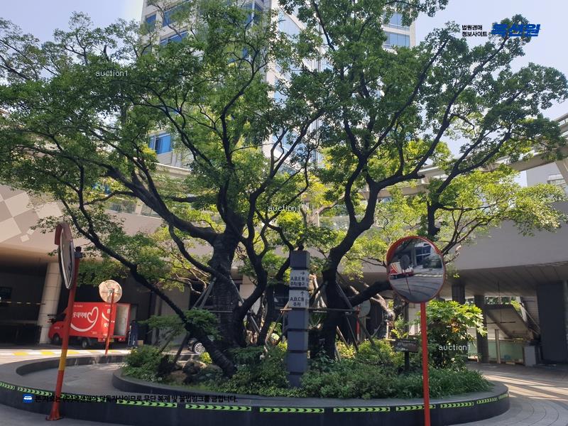 2024타경61331 부산광역시 부산진구 중앙대로666번길 50, 더샵센트럴스타 이동 16층 1607호 오피스텔[계약41평형] 경매 이미지