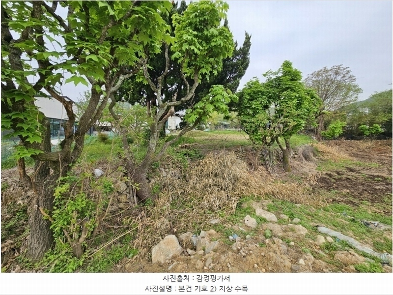 2024타경1878 부산광역시 기장군 장안읍 장안리 447 농지 경매 이미지