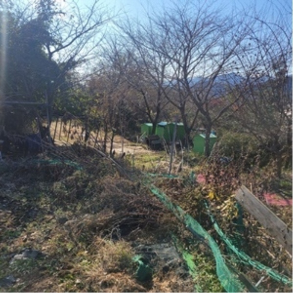 2024타경112716 부산광역시 기장군 철마면 임기리 968-6 농지 경매 이미지