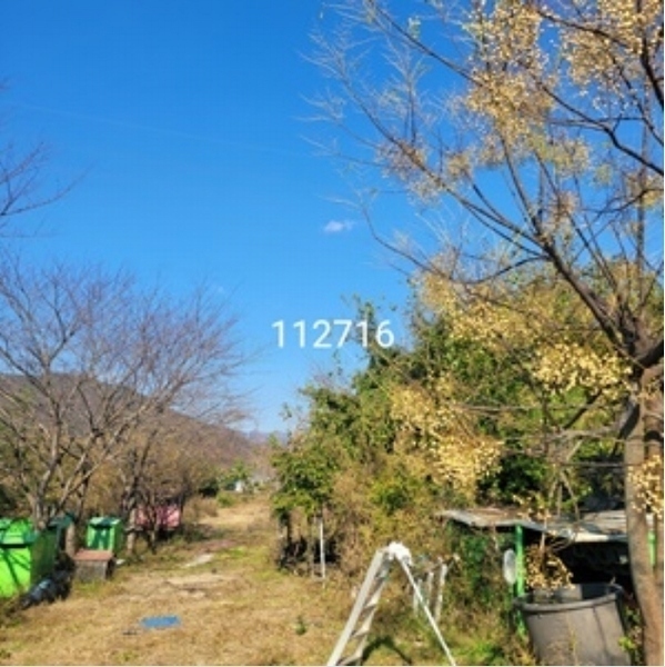 2024타경112716 부산광역시 기장군 철마면 임기리 968-6 농지 경매 이미지