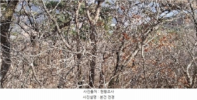 2025타경4461 부산광역시 기장군 정관읍 모전리 산37-1 임야 경매 이미지