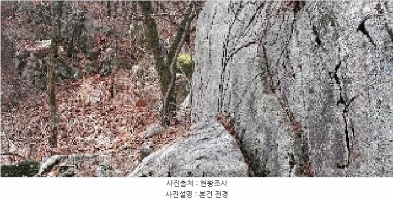 2025타경4461 부산광역시 기장군 정관읍 모전리 산37-1 임야 경매 이미지
