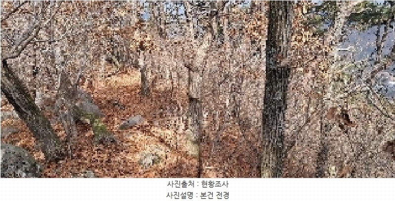 2025타경4461 부산광역시 기장군 정관읍 모전리 산37-1 임야 경매 이미지