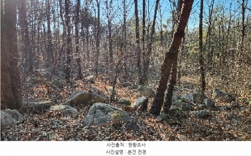 2025타경4461 부산광역시 기장군 정관읍 모전리 산37-1 임야 경매 이미지