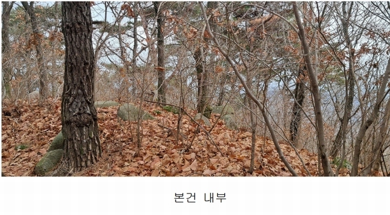 2025타경4461 부산광역시 기장군 정관읍 모전리 산37-1 임야 경매 이미지