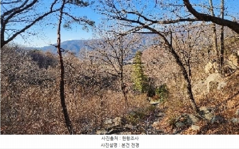 2025타경4461 부산광역시 기장군 정관읍 모전리 산37-1 임야 경매 이미지