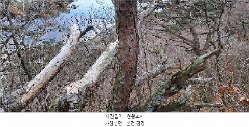 2025타경4461 부산광역시 기장군 정관읍 모전리 산37-1 임야 경매 이미지