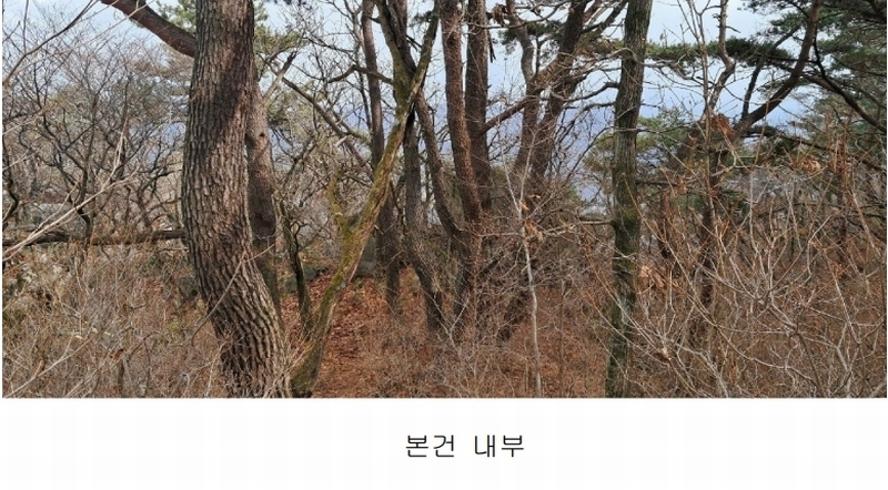 2025타경4461 부산광역시 기장군 정관읍 모전리 산37-1 임야 경매 이미지