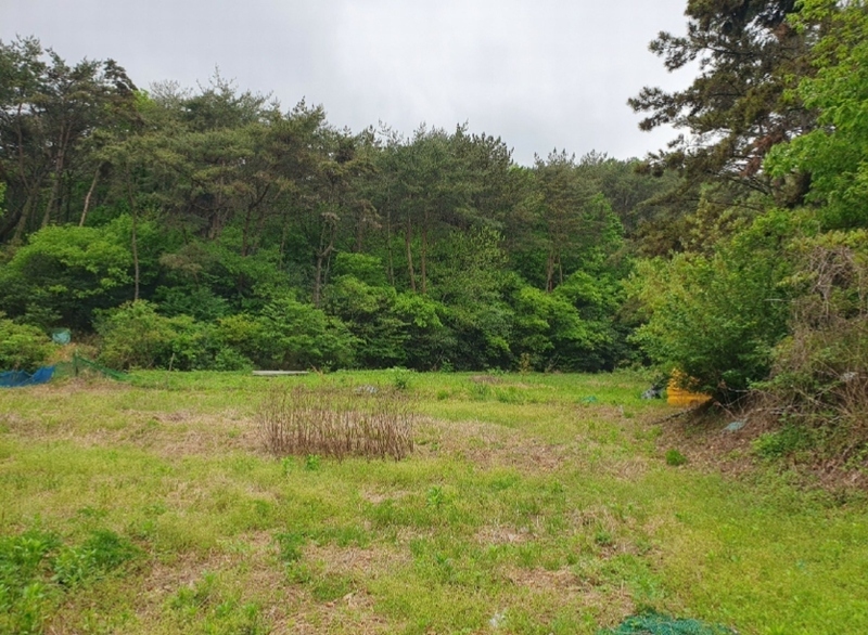 2022타경102906 부산광역시 기장군 일광읍 화전리 194 농지 경매 이미지