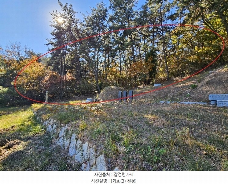2024타경6590 부산광역시 기장군 일광읍 청광리 산13-7 임야 경매 이미지