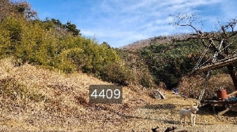 2025타경4409 부산광역시 기장군 철마면 구칠리 산2 임야 경매 이미지
