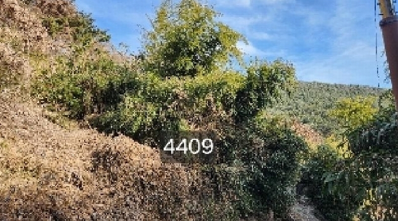 2025타경4409 부산광역시 기장군 철마면 구칠리 산2 임야 경매 이미지