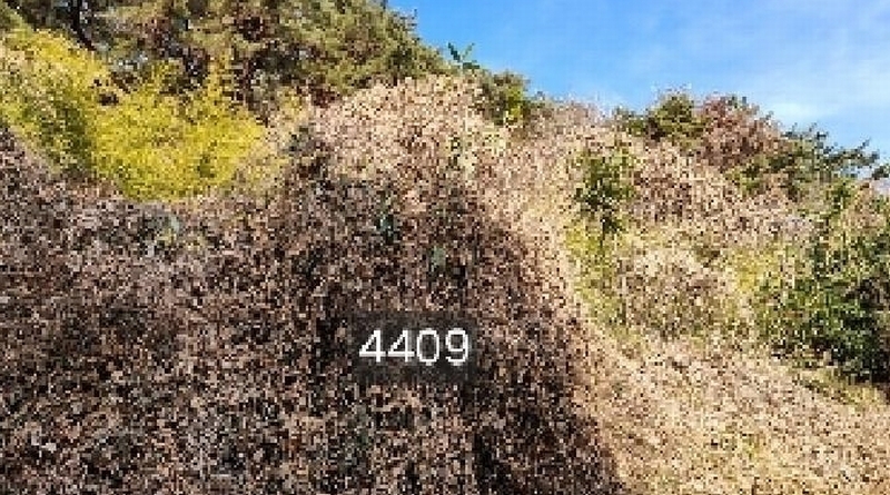 2025타경4409 부산광역시 기장군 철마면 구칠리 산2 임야 경매 이미지