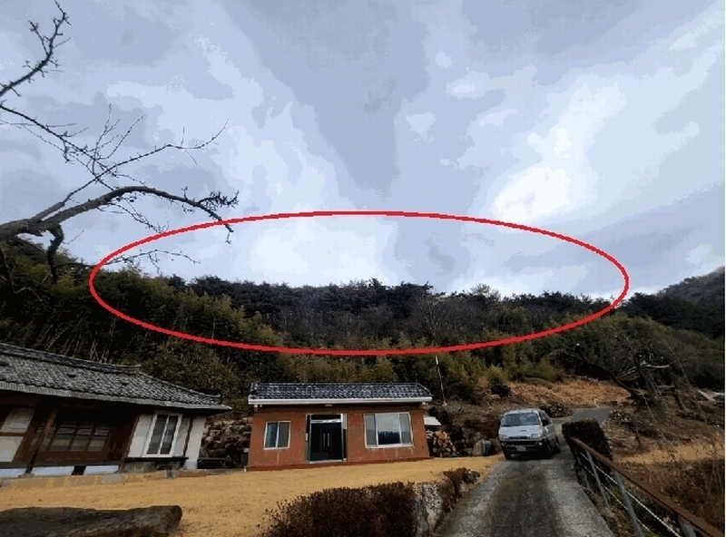 2025타경4409 부산광역시 기장군 철마면 구칠리 산2 임야 경매 이미지