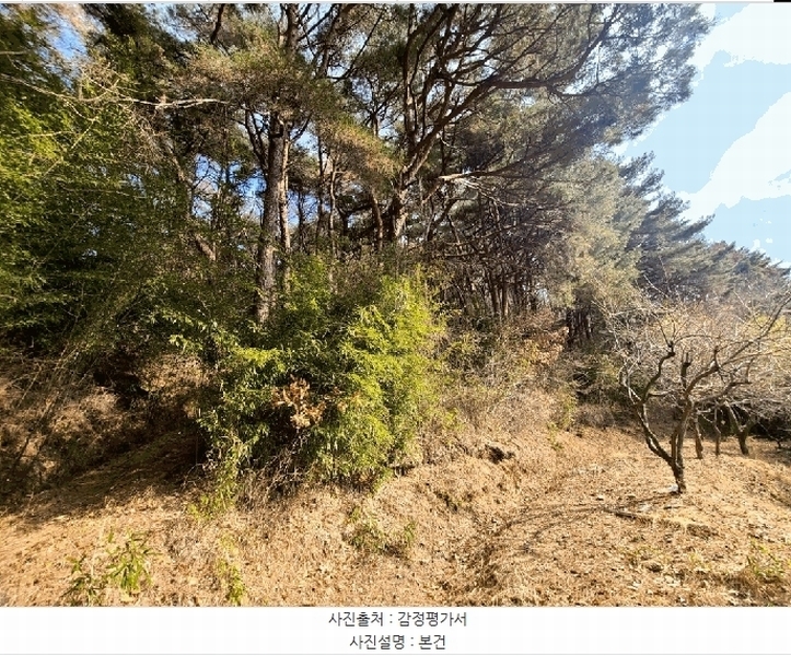 2025타경4409 부산광역시 기장군 철마면 구칠리 산2 임야 경매 이미지