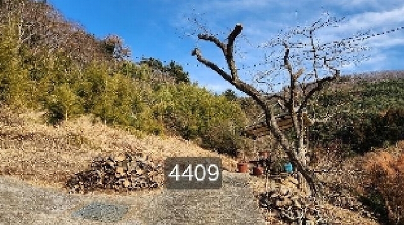 2025타경4409 부산광역시 기장군 철마면 구칠리 산2 임야 경매 이미지