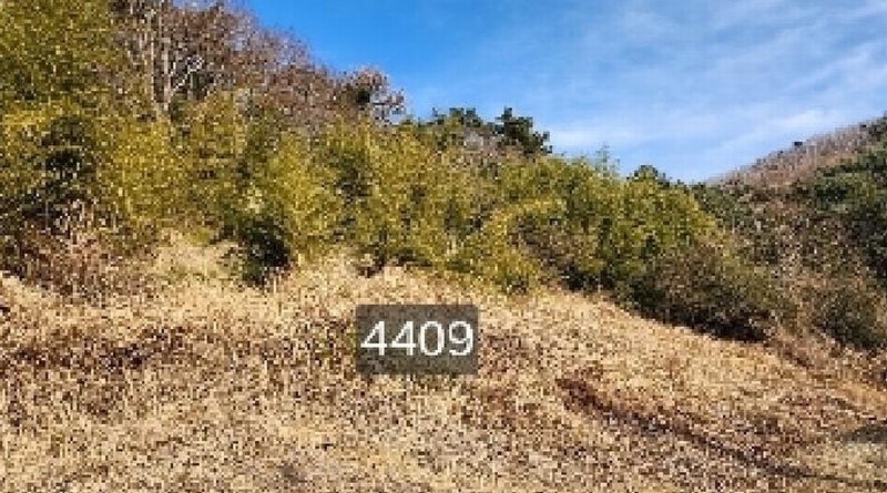 2025타경4409 부산광역시 기장군 철마면 구칠리 산2 임야 경매 이미지