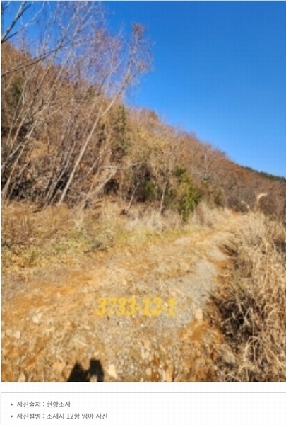 2022타경3733 부산광역시 기장군 일광읍 원리 산101-2 임야 경매 이미지