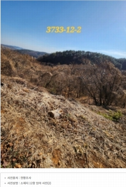 2022타경3733 부산광역시 기장군 일광읍 원리 산101-2 임야 경매 이미지
