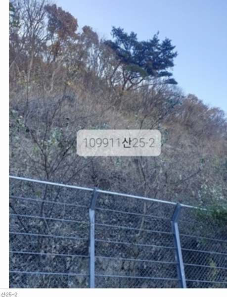 2023타경109911 부산광역시 기장군 정관읍 달산리 산25-2 임야 경매 이미지