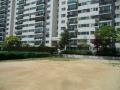 2025타경10640 서울특별시 양천구 목동서로 130, 목동신시가지아파트 408동 8층 805호 아파트[공급18평형] 경매 이미지