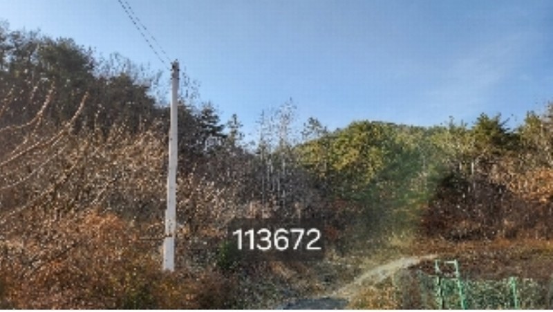 2024타경113672 부산광역시 기장군 장안읍 용소리 산151 임야 경매 이미지