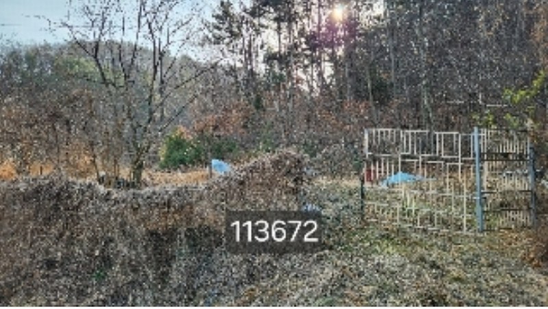 2024타경113672 부산광역시 기장군 장안읍 용소리 산151 임야 경매 이미지