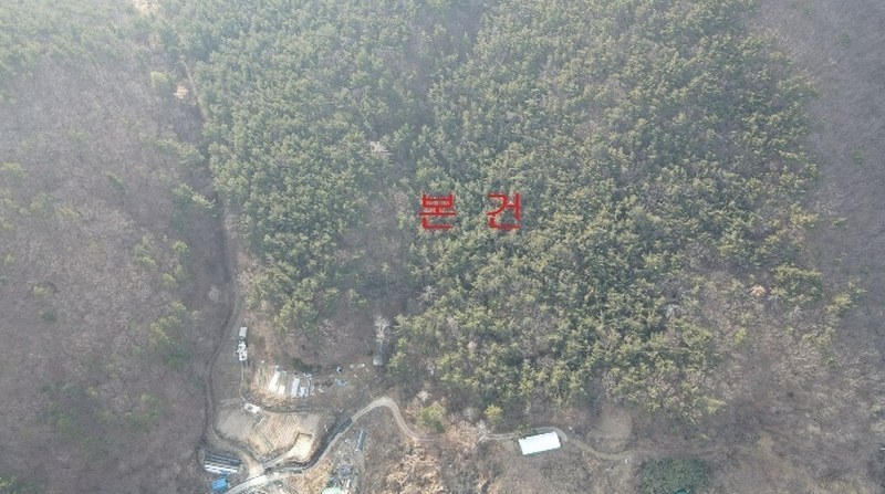 2024타경113672 부산광역시 기장군 장안읍 용소리 산151 임야 경매 이미지