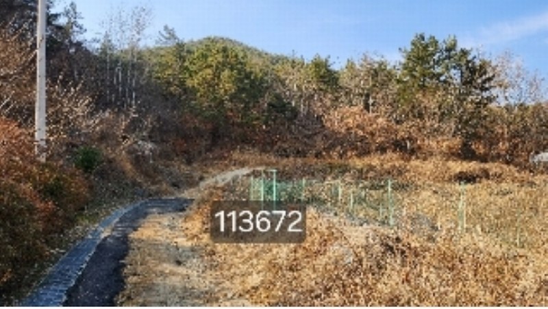 2024타경113672 부산광역시 기장군 장안읍 용소리 산151 임야 경매 이미지