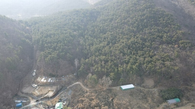 2024타경113672 부산광역시 기장군 장안읍 용소리 산151 임야 경매 이미지