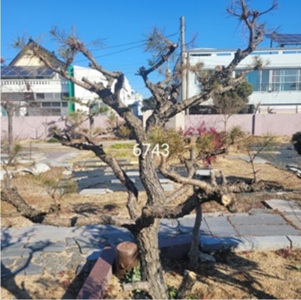2024타경6743 부산광역시 기장군 철마면 송정리 402-80 대지 경매 이미지