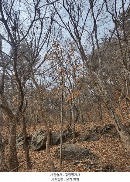 2025타경4852 부산광역시 기장군 일광읍 용천리 산55-2 임야 경매 이미지