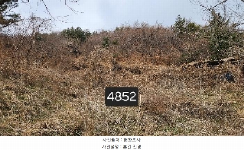 2025타경4852 부산광역시 기장군 일광읍 용천리 산55-2 임야 경매 이미지