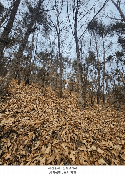 2025타경4852 부산광역시 기장군 일광읍 용천리 산55-2 임야 경매 이미지