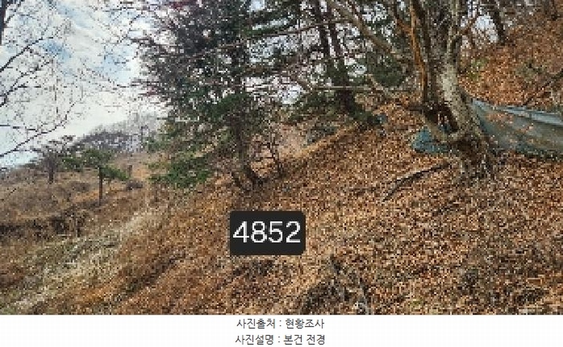 2025타경4852 부산광역시 기장군 일광읍 용천리 산55-2 임야 경매 이미지
