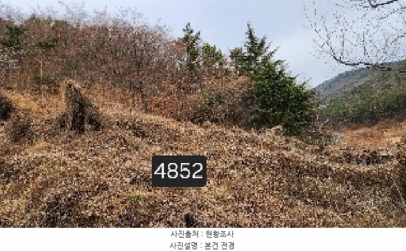 2025타경4852 부산광역시 기장군 일광읍 용천리 산55-2 임야 경매 이미지