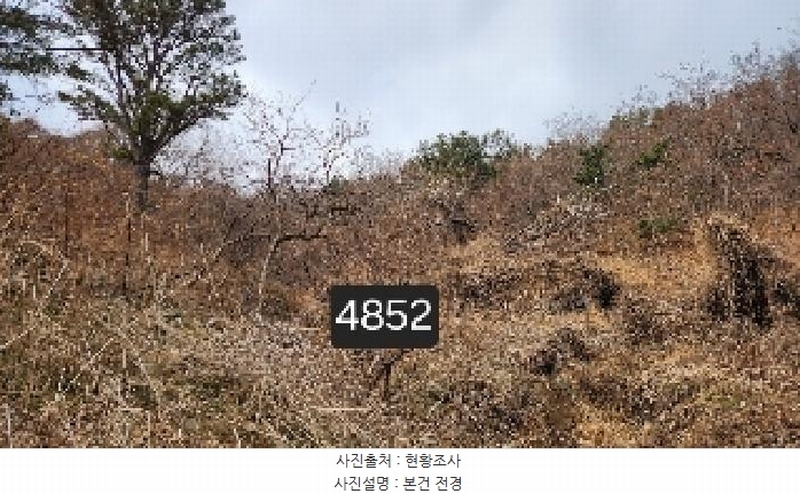 2025타경4852 부산광역시 기장군 일광읍 용천리 산55-2 임야 경매 이미지