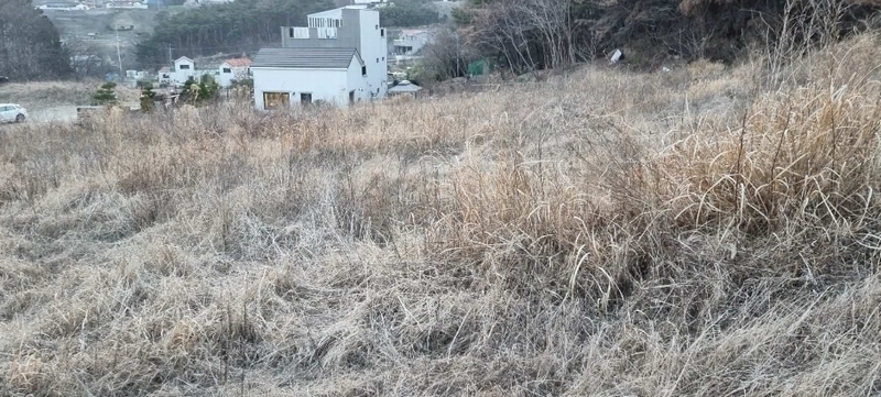 2023타경104541 부산광역시 기장군 장안읍 명례리 610-2 주택 경매 이미지
