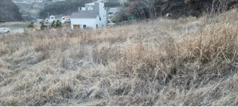 2023타경104541 부산광역시 기장군 장안읍 명례리 610-2 주택 경매 이미지