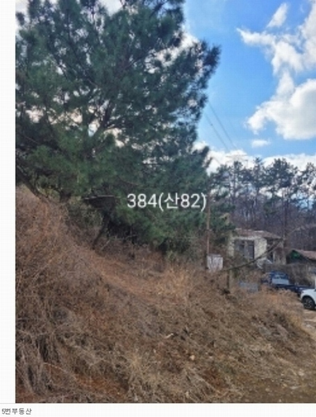 2024타경394 부산광역시 기장군 정관읍 달산리 산82 농가관련시설 경매 이미지