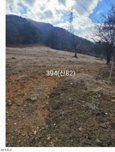 2024타경394 부산광역시 기장군 정관읍 달산리 산82 농가관련시설 경매 이미지