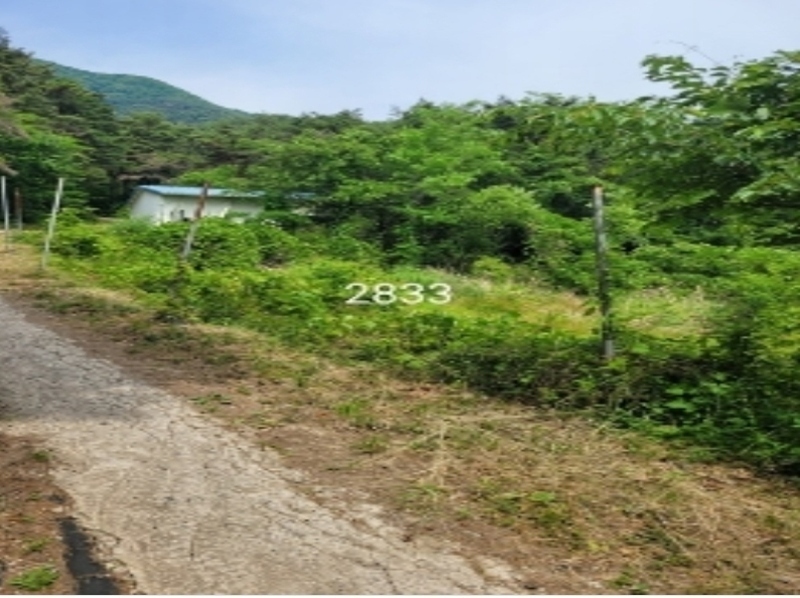 2024타경2833 부산광역시 기장군 일광읍 원리 721 농지 경매 이미지