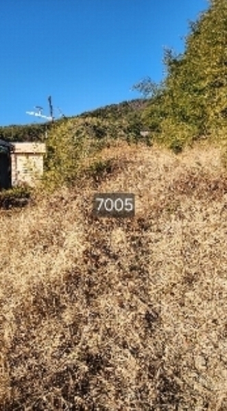 2024타경7005 부산광역시 기장군 일광읍 용천리 268 농지 경매 이미지