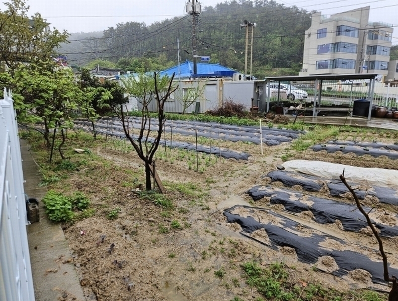 2024타경103712 부산광역시 기장군 일광면 학리 278-4 농지 경매 이미지