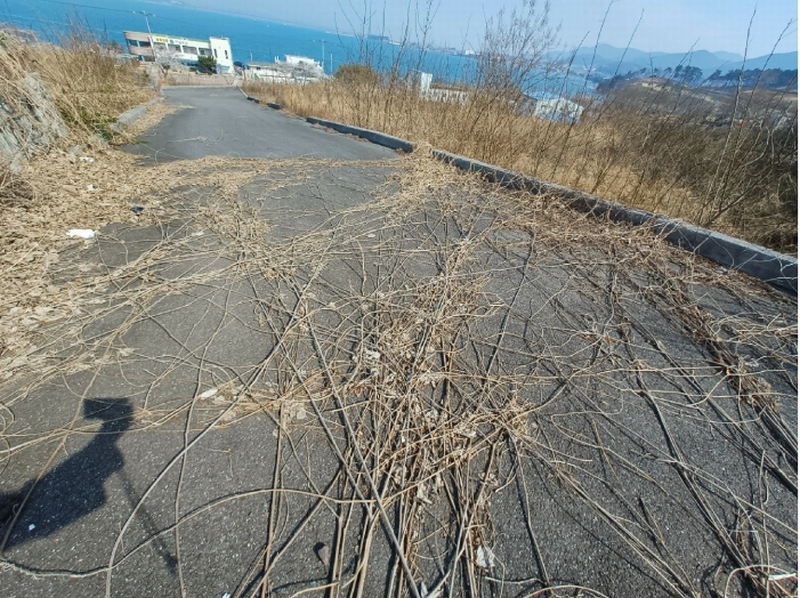 2025타경589 경상남도 사천시 송포동 산185-26 임야 경매 이미지