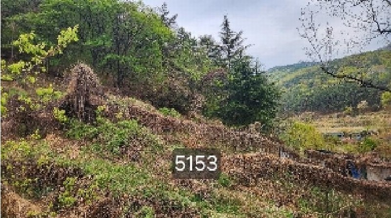 2025타경5153 부산광역시 기장군 일광읍 용천리 산55-3 임야 경매 이미지