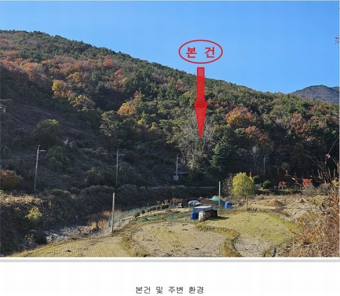 2025타경5153 부산광역시 기장군 일광읍 용천리 산55-3 임야 경매 이미지