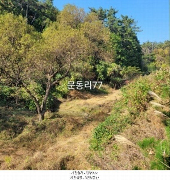2024타경6415 부산광역시 기장군 일광읍 문동리 77 농지 경매 이미지