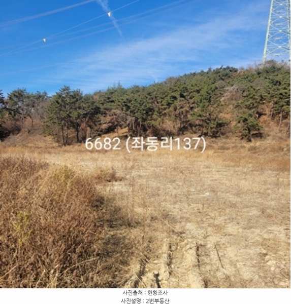 2024타경6682 부산광역시 기장군 장안읍 좌동리 137 농지 경매 이미지