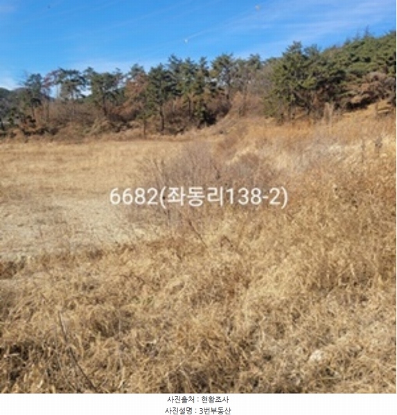 2024타경6682 부산광역시 기장군 장안읍 좌동리 137 농지 경매 이미지